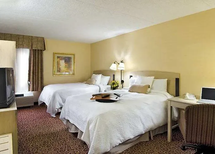 Hampton Chicago-midway Airport 3* Bedford Park